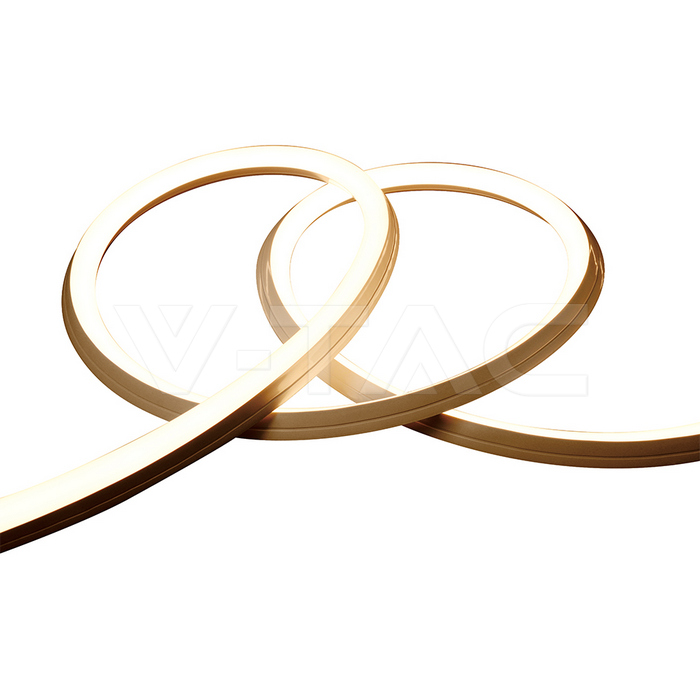 24505